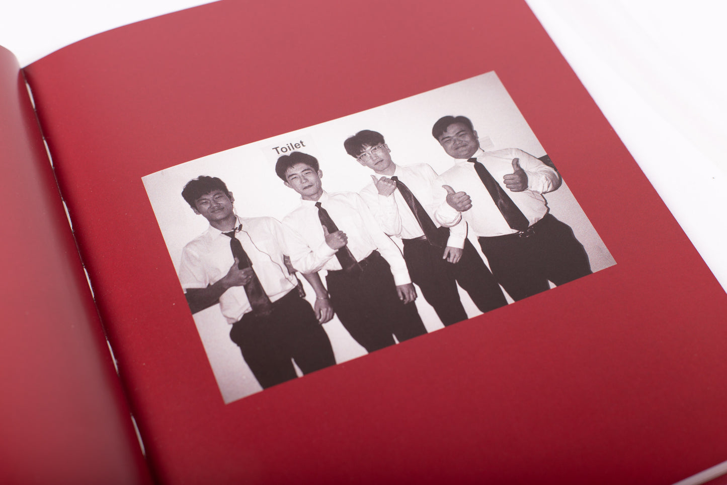 Goose Of Your Dreams by Joe Trohman (Regular Edition)